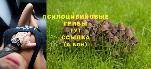 таблы Алексин