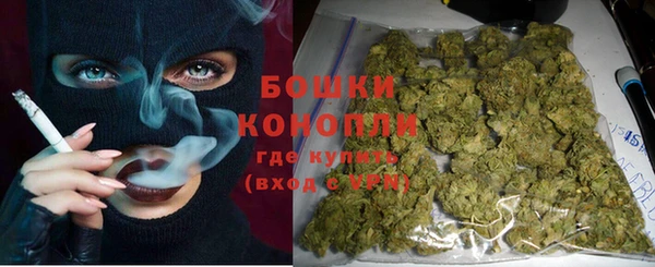 молекула духа Алзамай